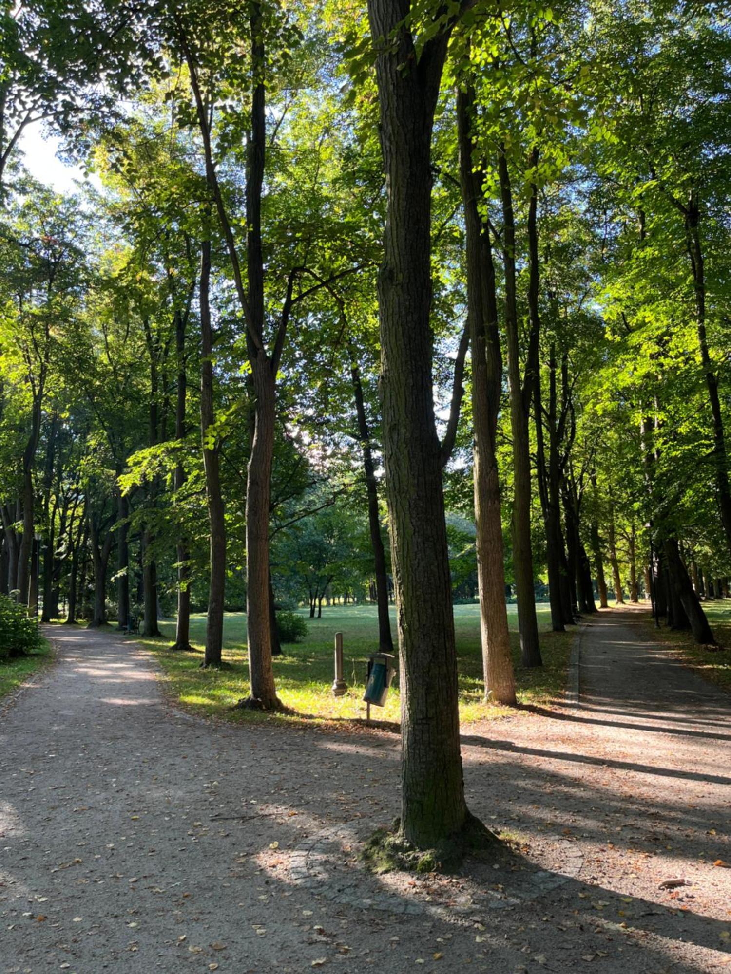 Sweet Cieplice Mountain View By The Main Park And Thermal Pools Apartment Jelenia Gora